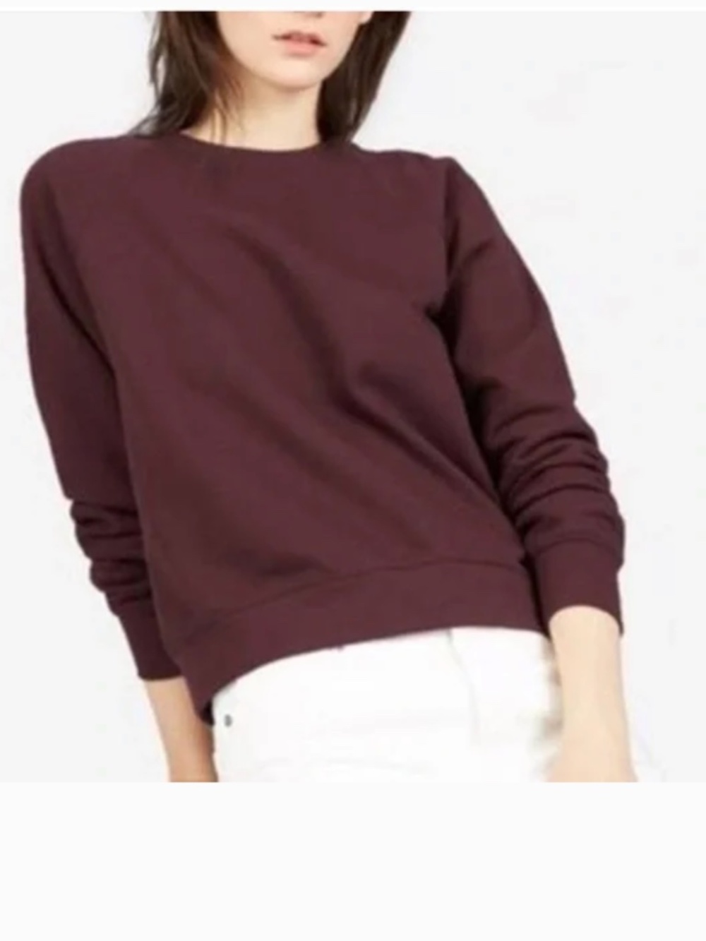 Everlane Crewneck Sweatshirt S Burgundy 100% Cotton Minimalist Quiet Luxury
